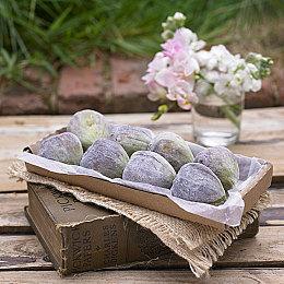 任天堂称未来第一方游戏不会使用生成式AI